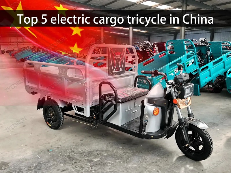 中國五大電動(dòng)載貨三輪車